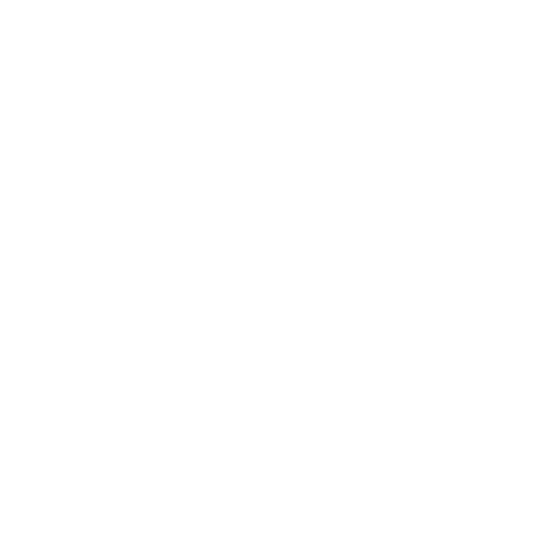 Critical Software